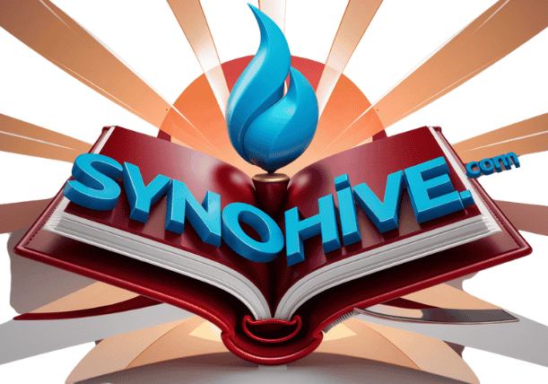 synohive.com