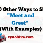 other-ways-to-say-meet-and-greet